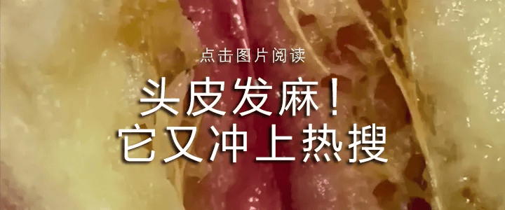 突然掉入坑中，广州一男子身亡！多人被拘
