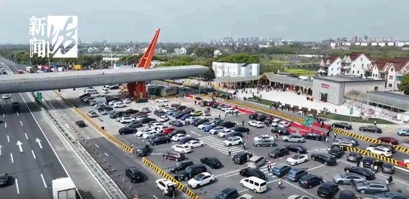 清明路上堵成猪肝红，"5个小时只动了800米，气笑了"