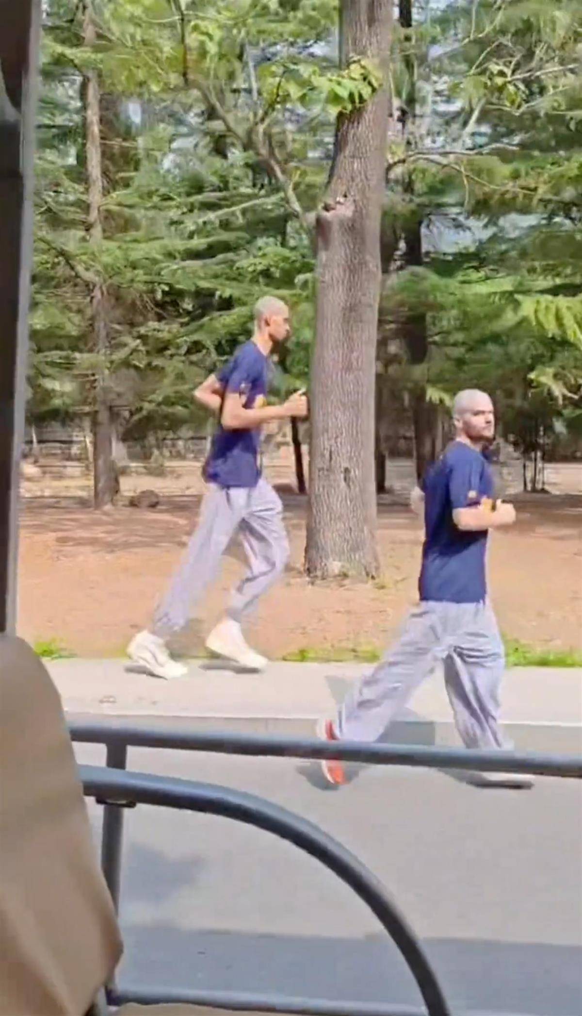 网友拍到光头文班亚马在少林寺晨跑，称是离NBA巨星最近的一次，景区回应