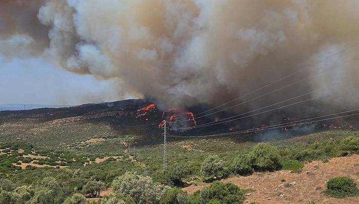 最高气温超过44℃、核电减产，欧洲多国再遭热浪袭击