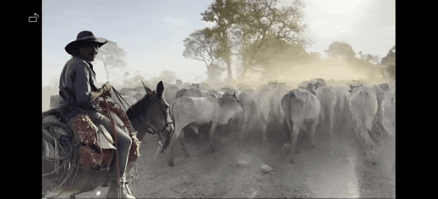 “我的探秘，才刚刚开始”成绝响！“海绵城市”之父俞孔坚巴西坠机遇难！其理念已在上海推进多年