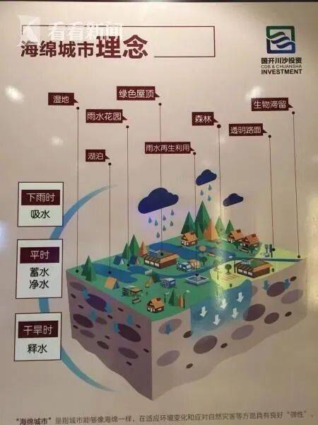 “我的探秘，才刚刚开始”成绝响！“海绵城市”之父俞孔坚巴西坠机遇难！其理念已在上海推进多年