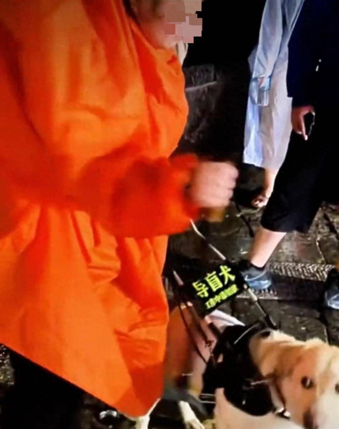 陪盲人夜爬泰山的导盲犬已被接回大连基地，训练有素的导盲犬全国仅400余只，专业人士不建议危险情况下使用