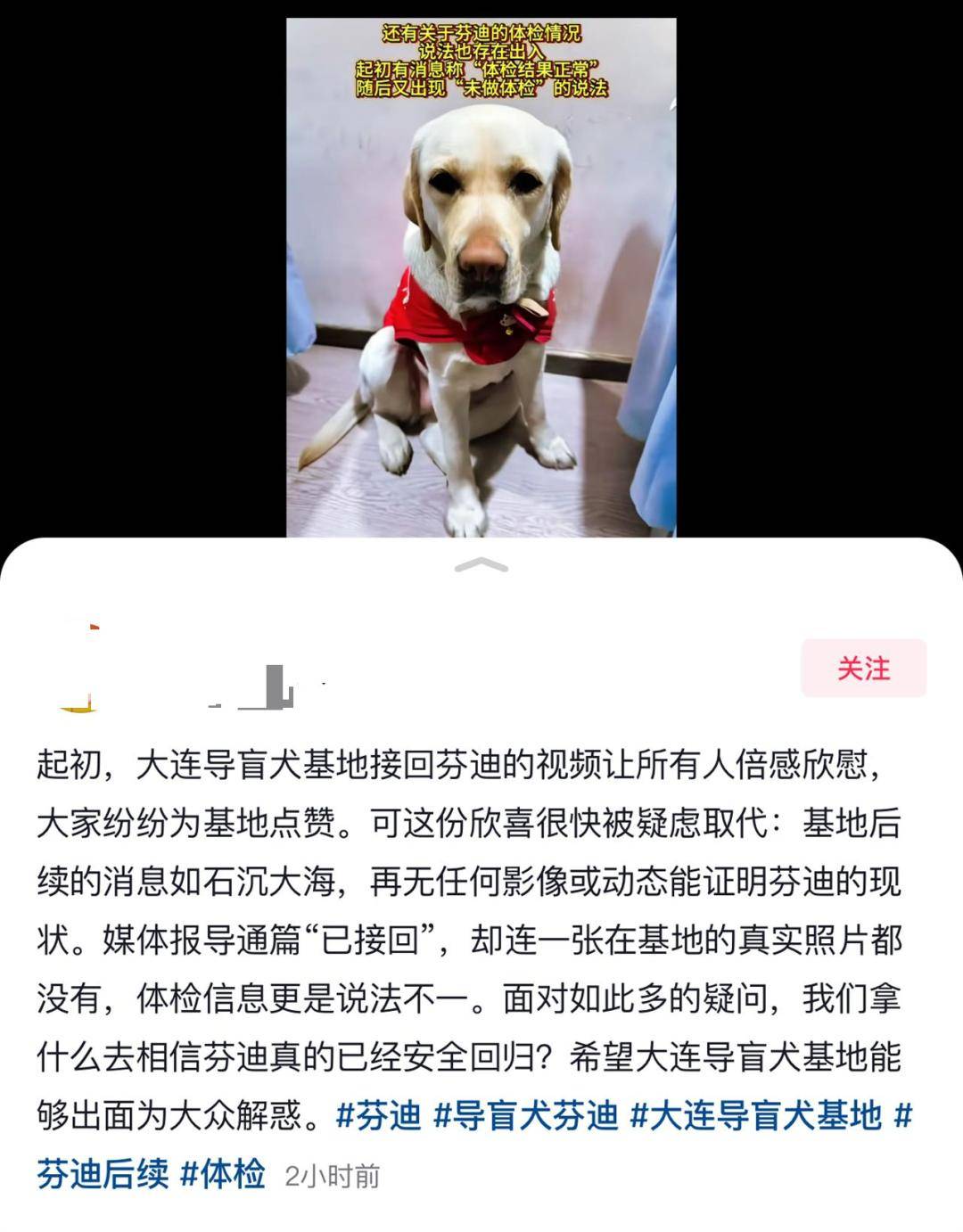 陪盲人夜爬泰山的导盲犬已被接回大连基地，训练有素的导盲犬全国仅400余只，专业人士不建议危险情况下使用
