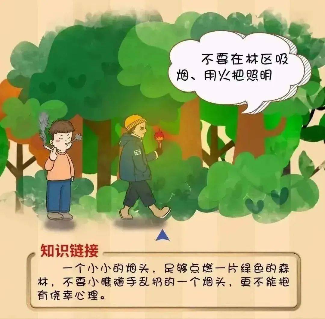 【工作动态】平安森防丨防患未“燃”，“森”生不息——森林防火安全知识宣传