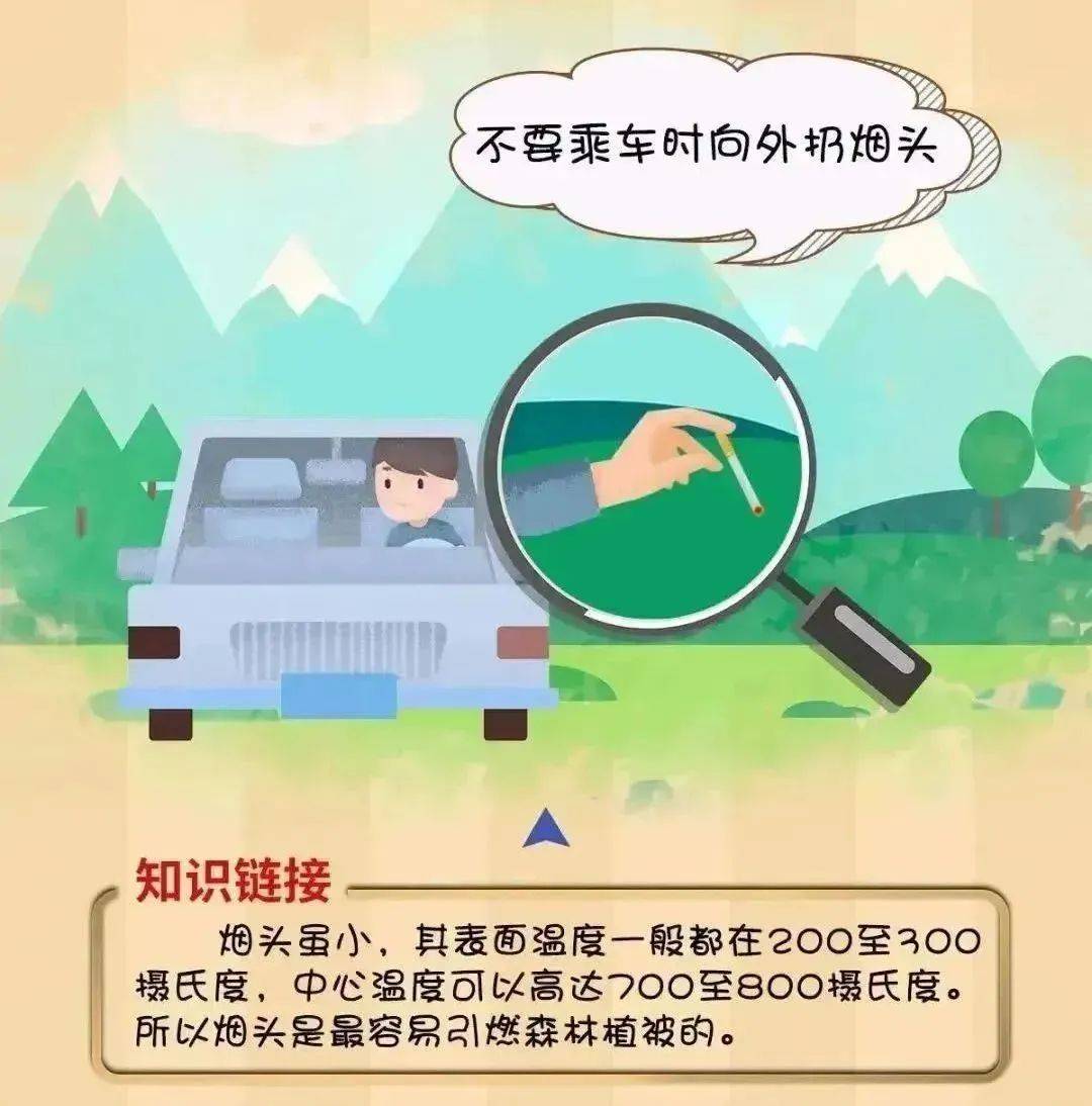 【工作动态】平安森防丨防患未“燃”，“森”生不息——森林防火安全知识宣传