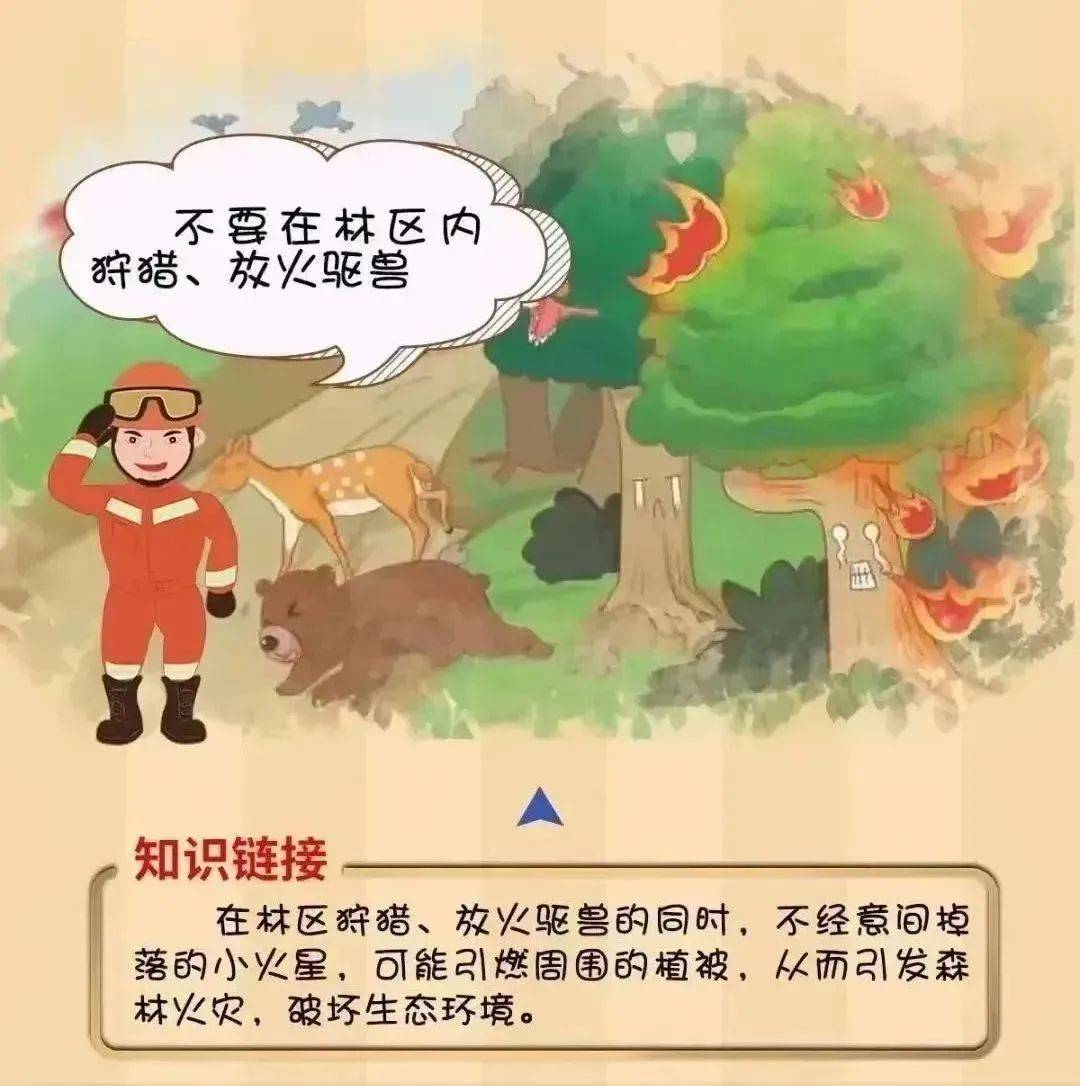 【工作动态】平安森防丨防患未“燃”，“森”生不息——森林防火安全知识宣传