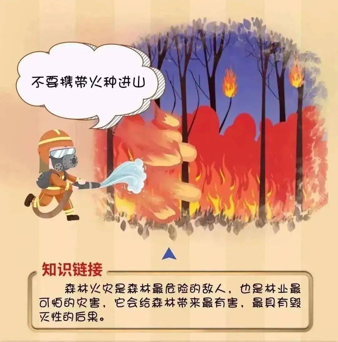 【工作动态】平安森防丨防患未“燃”，“森”生不息——森林防火安全知识宣传