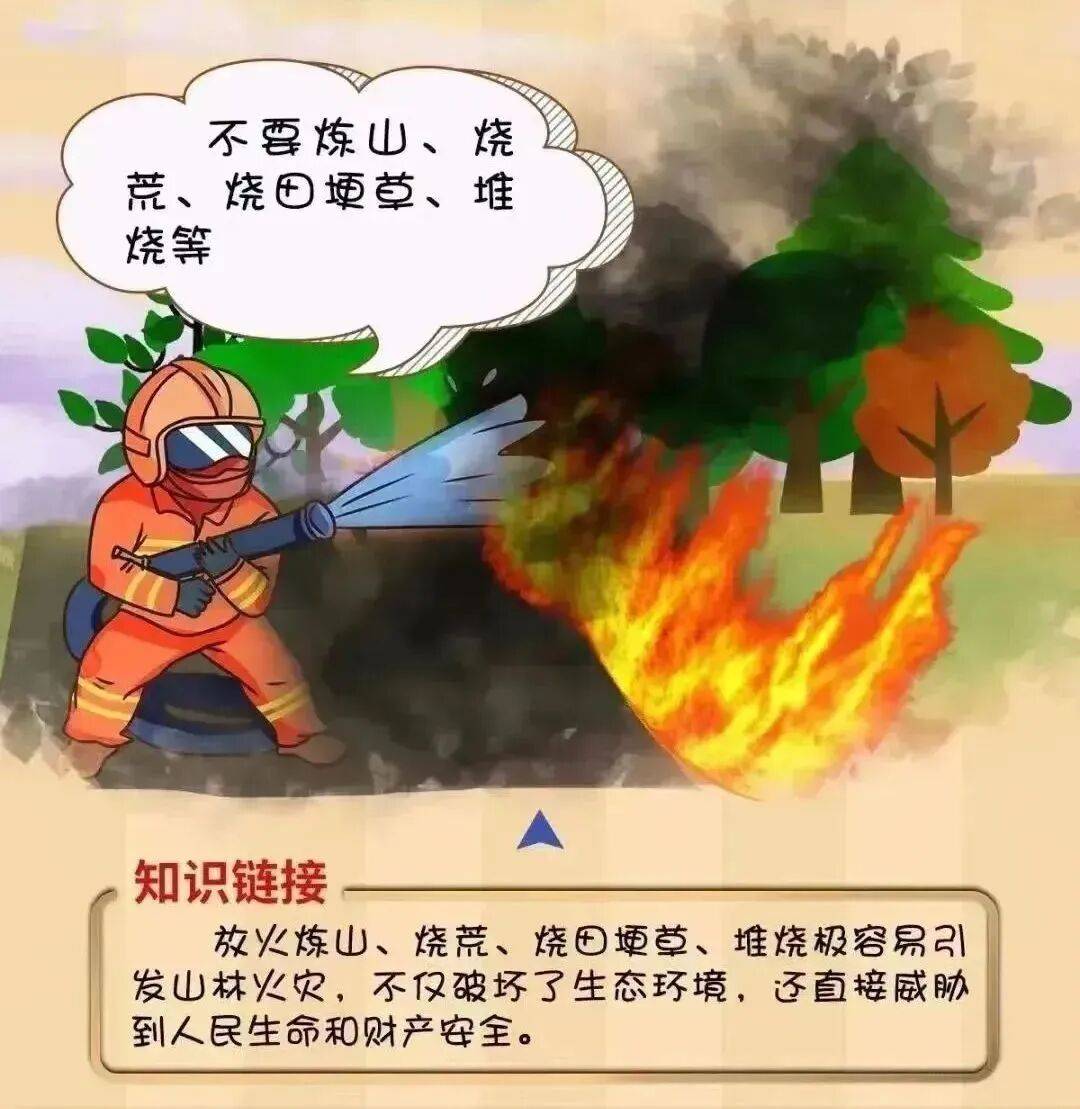 【工作动态】平安森防丨防患未“燃”，“森”生不息——森林防火安全知识宣传