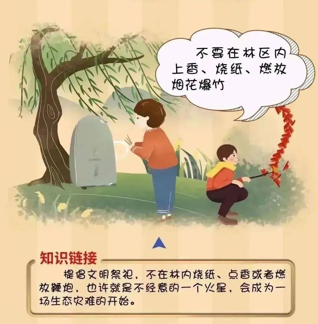 【工作动态】平安森防丨防患未“燃”，“森”生不息——森林防火安全知识宣传