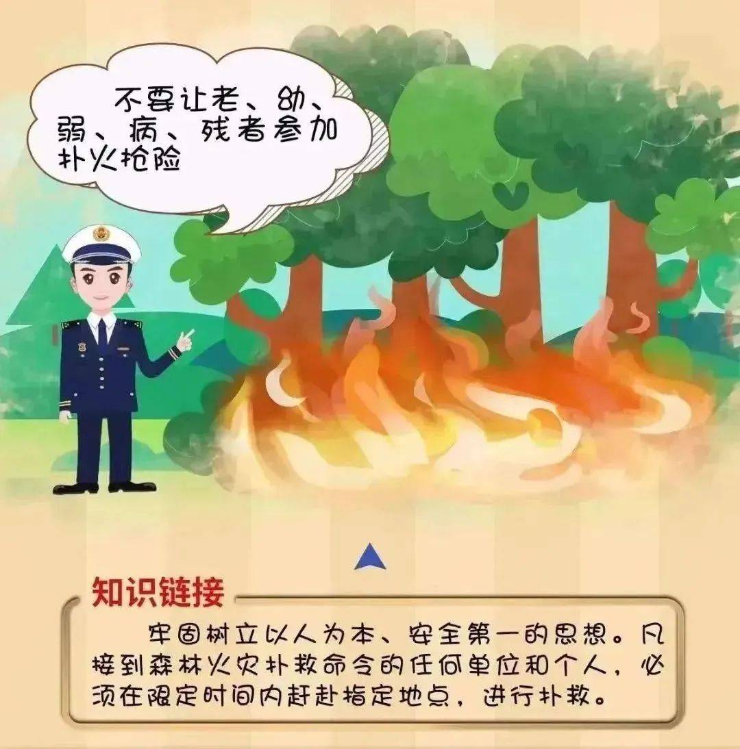 【工作动态】平安森防丨防患未“燃”，“森”生不息——森林防火安全知识宣传