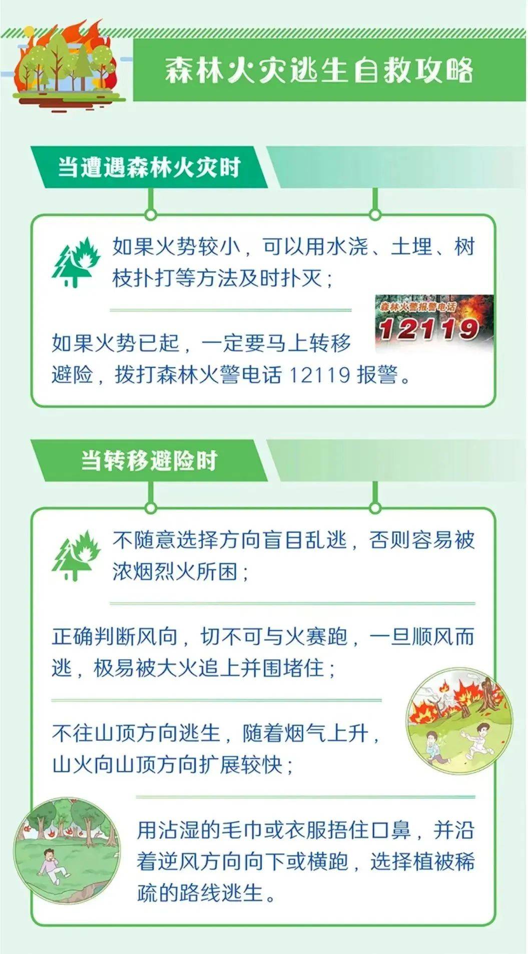 【工作动态】平安森防丨防患未“燃”，“森”生不息——森林防火安全知识宣传