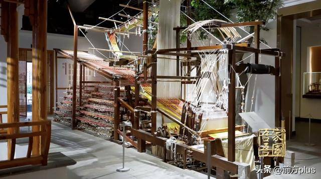 她以丝为材，设计出人造血管！