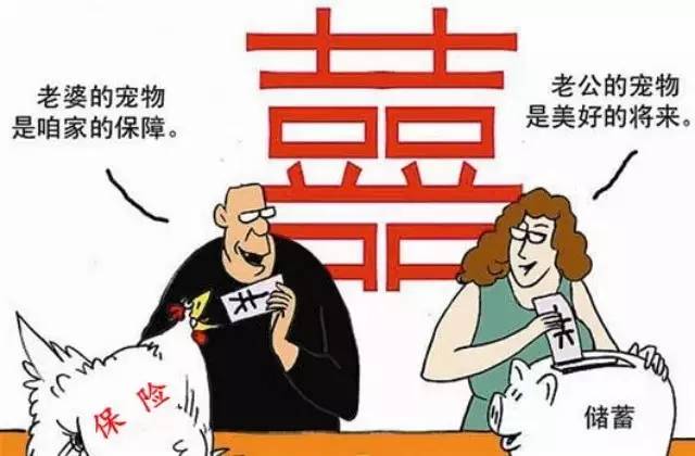 老婆理财(老婆理财赔了5万)