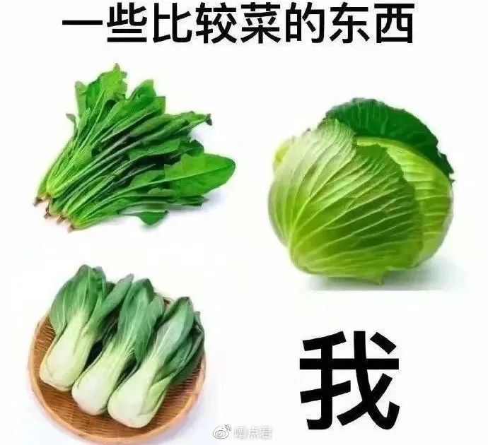 理财的段子(理财的搞笑说说)
