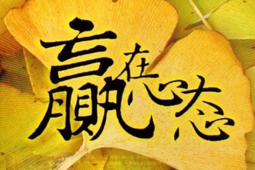 感悟理财(理财感悟的文章)