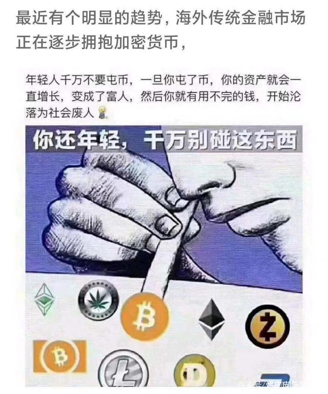柚子币(极点投稿一次柚子币)