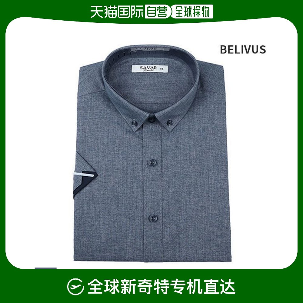 BSV(bsv模型)
