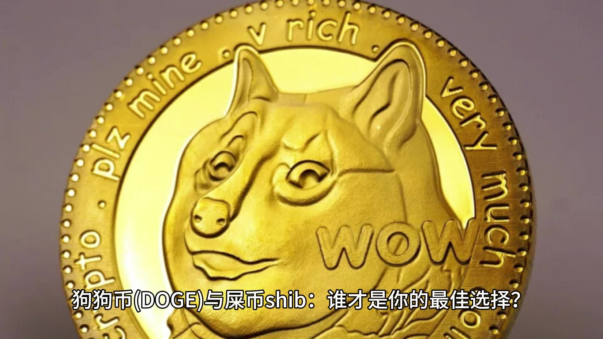 屎币(屎币2024年,牛市中最高能涨到一分吗?)