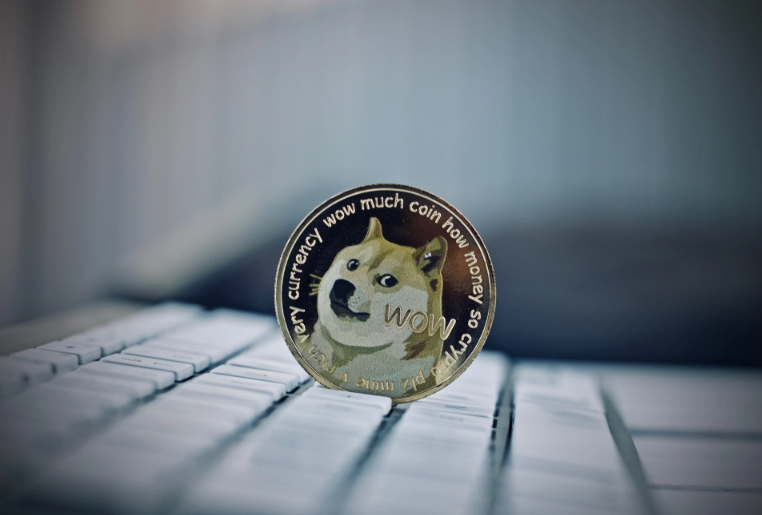 DOGE币(狗狗币下个牛市能涨到多少)